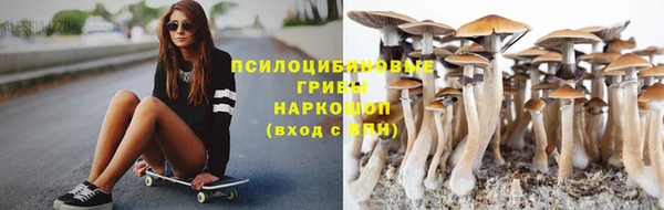 скорость Аркадак