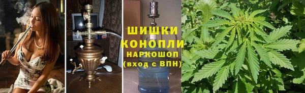 спиды Алзамай