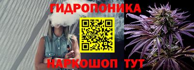прущие крисы Тайшет