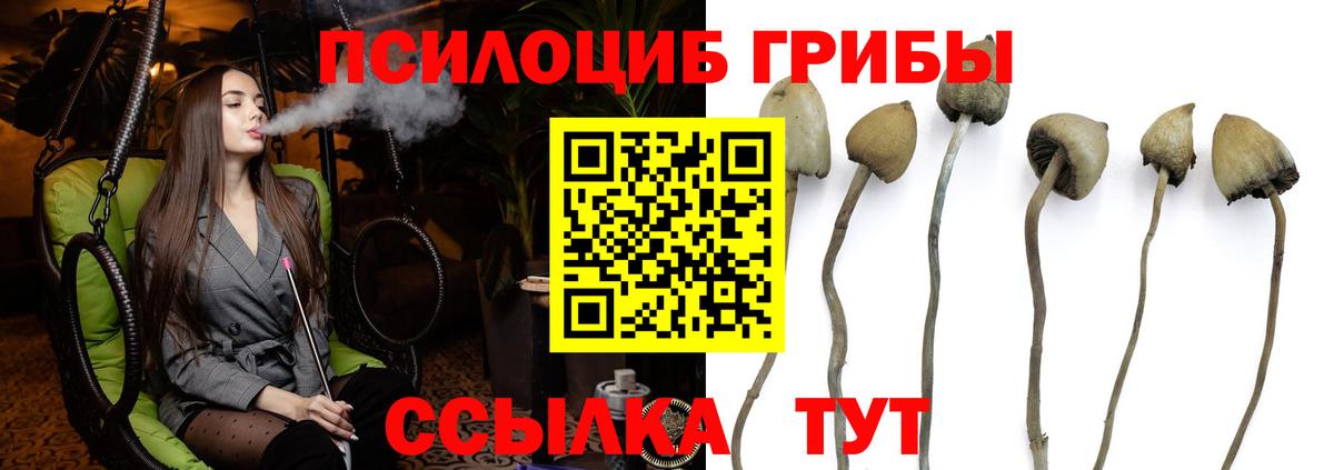 Псилоцибиновые грибы MAGIC MUSHROOMS Выкса