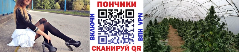 Бошки марихуана план  Выкса 